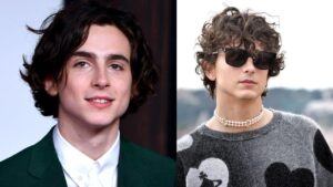 timothee chalamet