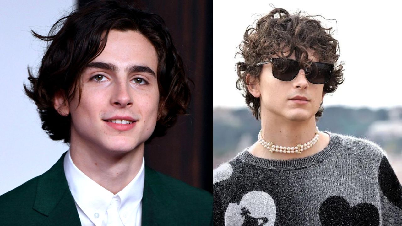 timothee chalamet