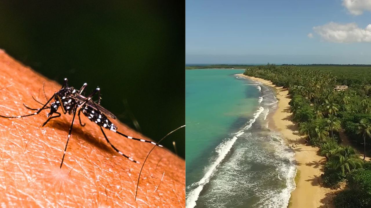 Puerto Rico dengue